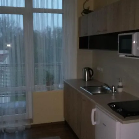 Apartma Anglicka * Františkovy Lázně